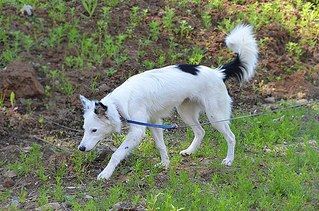 click for enlarge 604 X 400 89.3 Kb picture