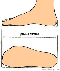 click for enlarge 344 X 400 24.5 Kb picture