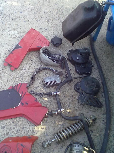 click for enlarge 1200 X 1600 258.9 Kb picture