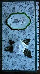 click for enlarge 365 X 664  67.4 Kb picture