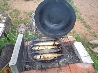 click for enlarge 1920 X 1440 288.5 Kb picture