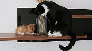 click for enlarge 640 X 360 59.4 Kb picture