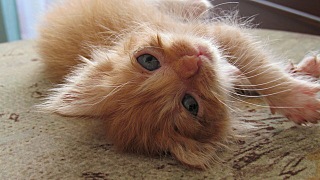 click for enlarge 640 X 360 71.2 Kb picture