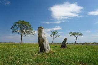 click for enlarge 1024 X 683 204.9 Kb picture