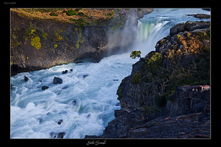 click for enlarge 1200 X 798 375.7 Kb picture