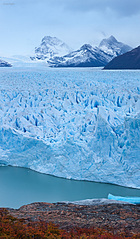 click for enlarge 800 X 1365 512.0 Kb picture