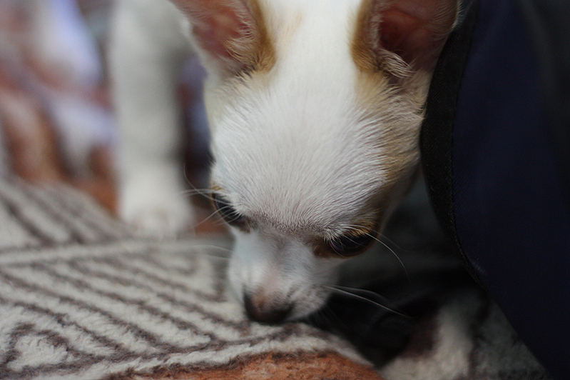 click for enlarge 1000 X 666 465.5 Kb picture