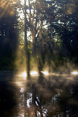 click for enlarge 640 X 960 210.6 Kb picture