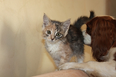 click for enlarge 1024 X 683 248.8 Kb picture