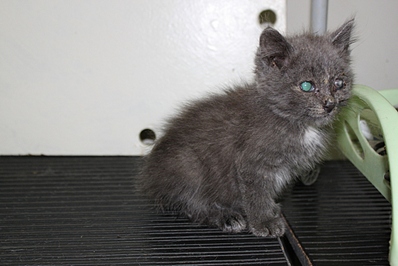 click for enlarge 1024 X 683 244.0 Kb picture