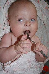 click for enlarge 402 X 604 41.2 Kb picture
