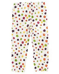 click for enlarge 255 X 320 24.1 Kb picture