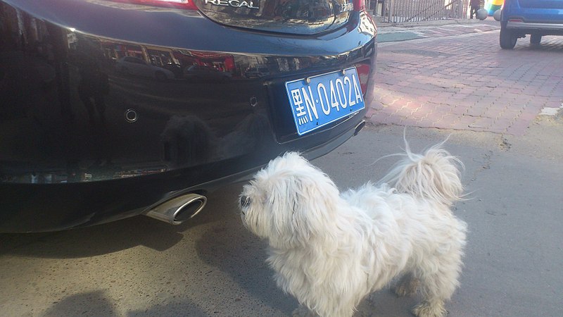 click for enlarge 1920 X 1080 311.8 Kb picture