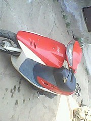 click for enlarge 240 X 320 20.5 Kb picture