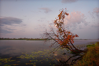 click for enlarge 975 X 650 284.5 Kb picture