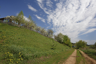 click for enlarge 990 X 660 747.5 Kb picture