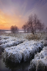 click for enlarge 440 X 660 335.4 Kb picture