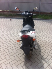 click for enlarge 1920 X 2570 477.1 Kb picture