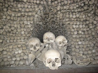 click for enlarge 604 X 453 72.9 Kb picture