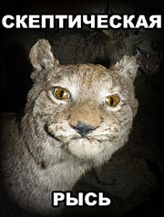 click for enlarge 453 X 604  62.0 Kb picture