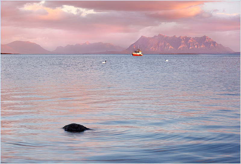 click for enlarge 1200 X 815 341.6 Kb picture