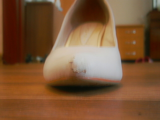 click for enlarge 1600 X 1200 1010.6 Kb picture