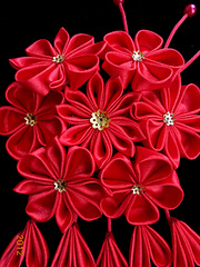 click for enlarge 1920 X 2560 418.1 Kb picture