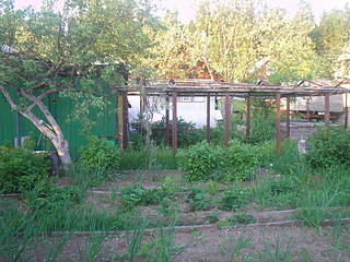 click for enlarge 1920 X 1440 479.9 Kb picture