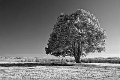 click for enlarge 753 X 505 393.9 Kb picture