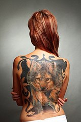 click for enlarge 402 X 604 46.3 Kb picture