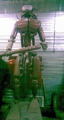 click for enlarge 257 X 479  29.5 Kb picture