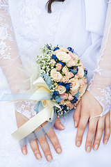 click for enlarge 1920 X 2880 395.1 Kb picture
