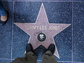 click for enlarge 1920 X 1440 818.3 Kb picture