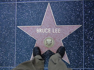 click for enlarge 1920 X 1440 837.6 Kb picture