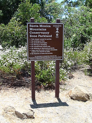 click for enlarge 1188 X 1584 513.7 Kb picture