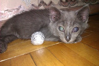 click for enlarge 1920 X 1280 565.5 Kb picture