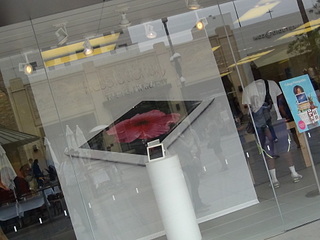 click for enlarge 1920 X 1440 459.3 Kb picture