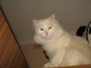 click for enlarge 1920 X 1440 399.1 Kb picture