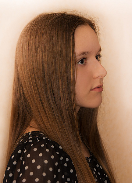 click for enlarge 925 X 1280 312.3 Kb picture