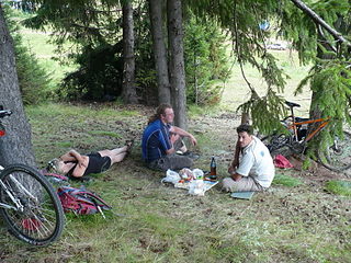 click for enlarge 1600 X 1200 737.1 Kb picture