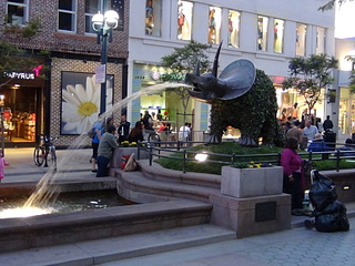 click for enlarge 1920 X 1440 672.5 Kb picture