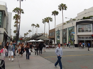 click for enlarge 1920 X 1440 529.2 Kb picture