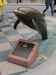 click for enlarge 1584 X 2112 702.4 Kb picture