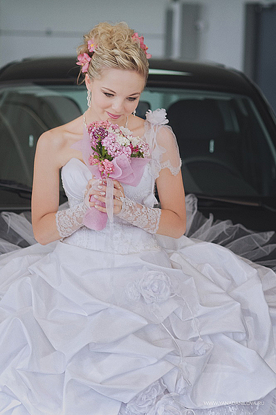 click for enlarge 665 X 1000 392.6 Kb picture