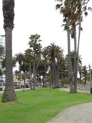 click for enlarge 1188 X 1584 258.5 Kb picture