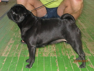 click for enlarge 1920 X 1440 502.5 Kb picture