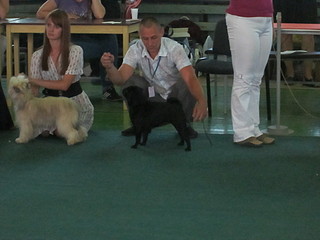 click for enlarge 1920 X 1440 478.1 Kb picture