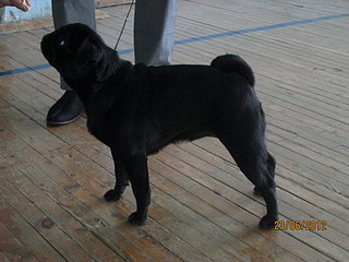 click for enlarge 1920 X 1440 503.0 Kb picture