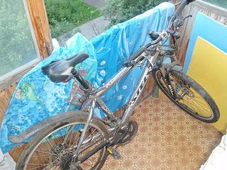 click for enlarge 1024 X 768 143.2 Kb picture