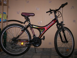 click for enlarge 1920 X 1440 562.1 Kb picture